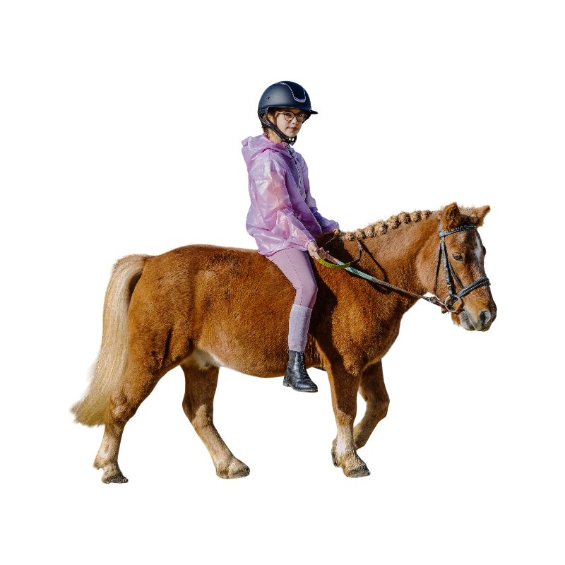 Equithème - Junior rijbroek Carly lila | - Ohlala