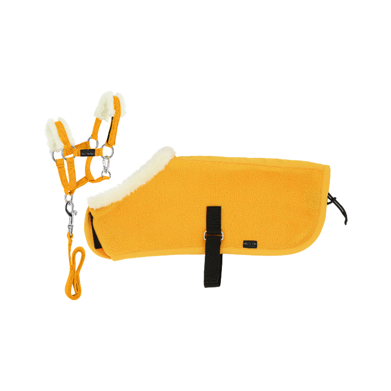 Equithème - Set licol + couverture pour mini poney jaune | - Ohlala