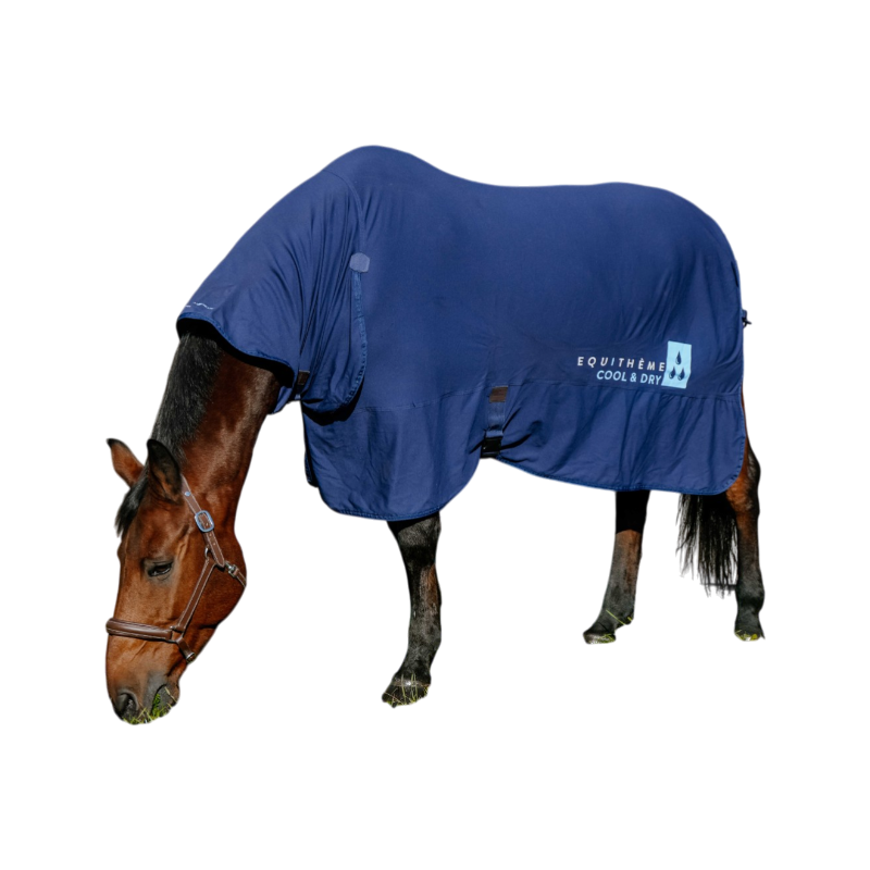 Equithème - Chemise rafraîchissante Cool&dry Fresh Combo marine | - Ohlala