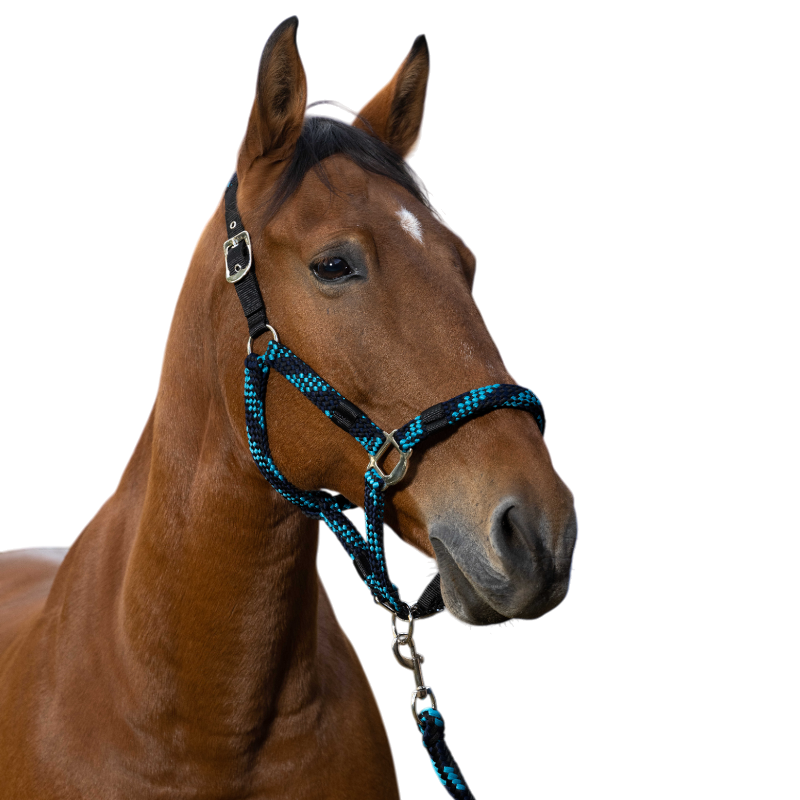 Equithème - Licol et longe tressé turquoise/ marine/ noir | - Ohlala