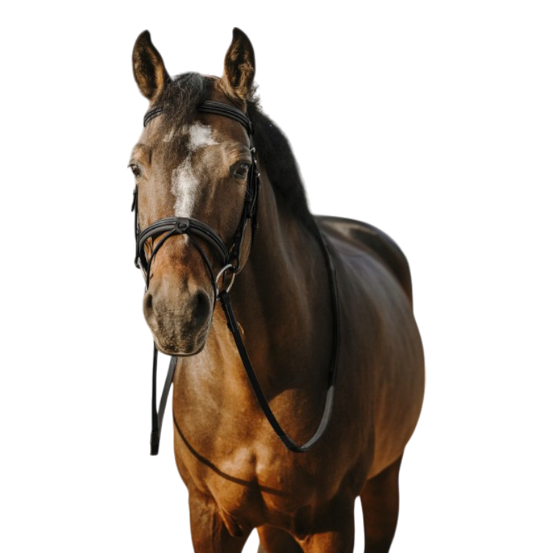 Eric Thomas - Bridon Work noir | - Ohlala