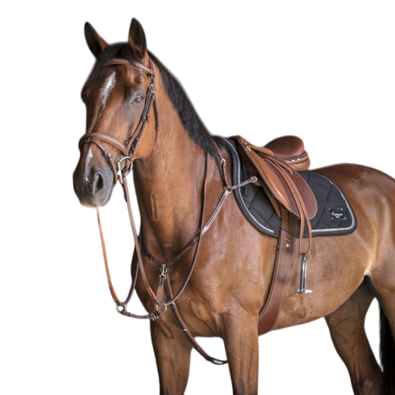 Eric Thomas - Collier de chasse Hybrid havane | - Ohlala