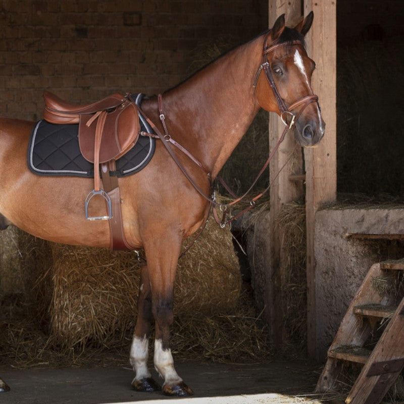 Eric Thomas - Collier de chasse Hybrid havane | - Ohlala