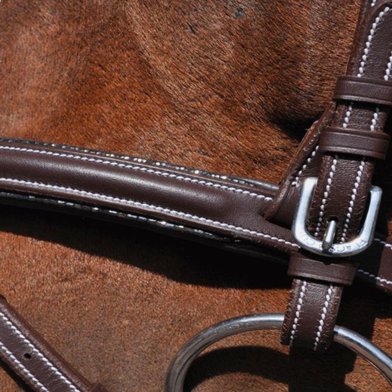 Flags & Cup - Bridon Doha avec rênes marron | - Ohlala