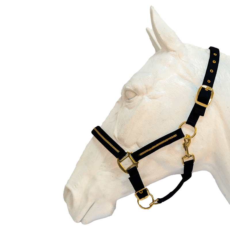 Flags & Cup - Licol et longe Nossa noir | - Ohlala