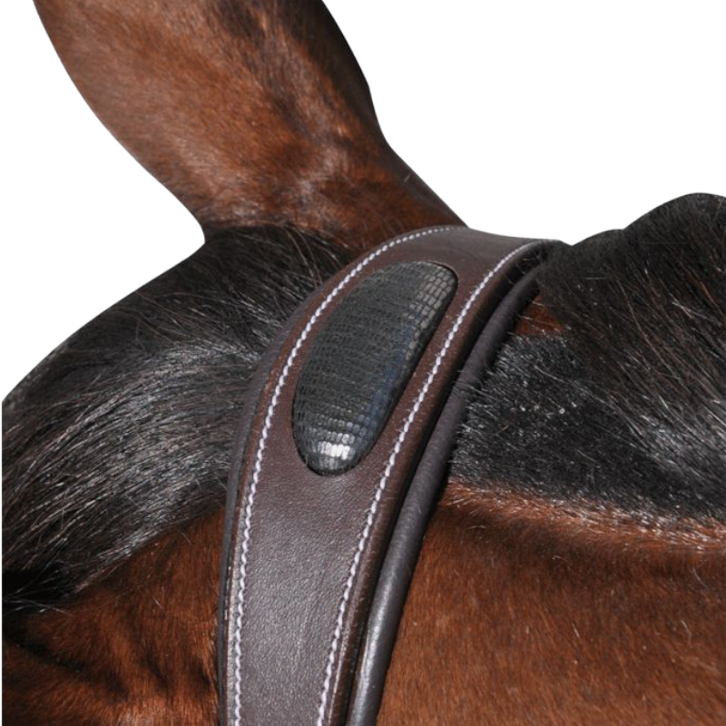 Flags & Cup - Bridon Doha avec rênes marron | - Ohlala