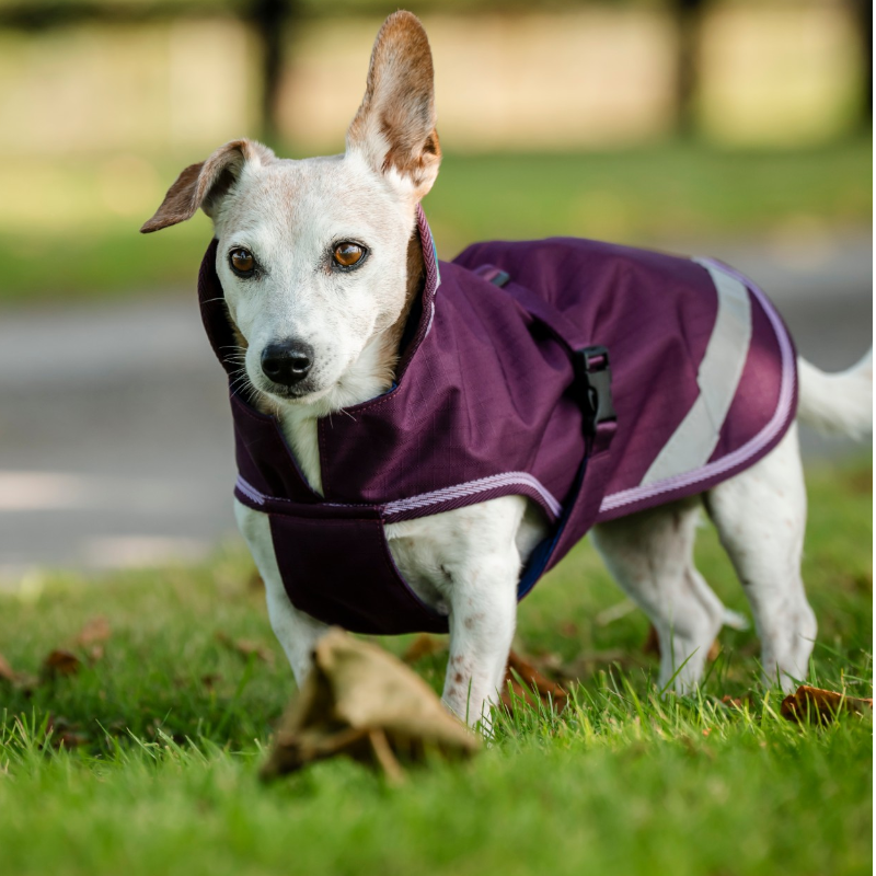 Bucas - Couverture pour chien Freedom blackberry