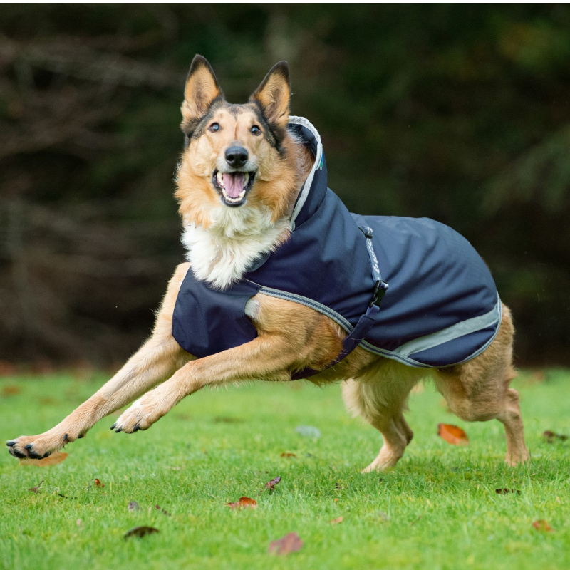 Bucas - Couverture pour chien Freedom marine/ silver