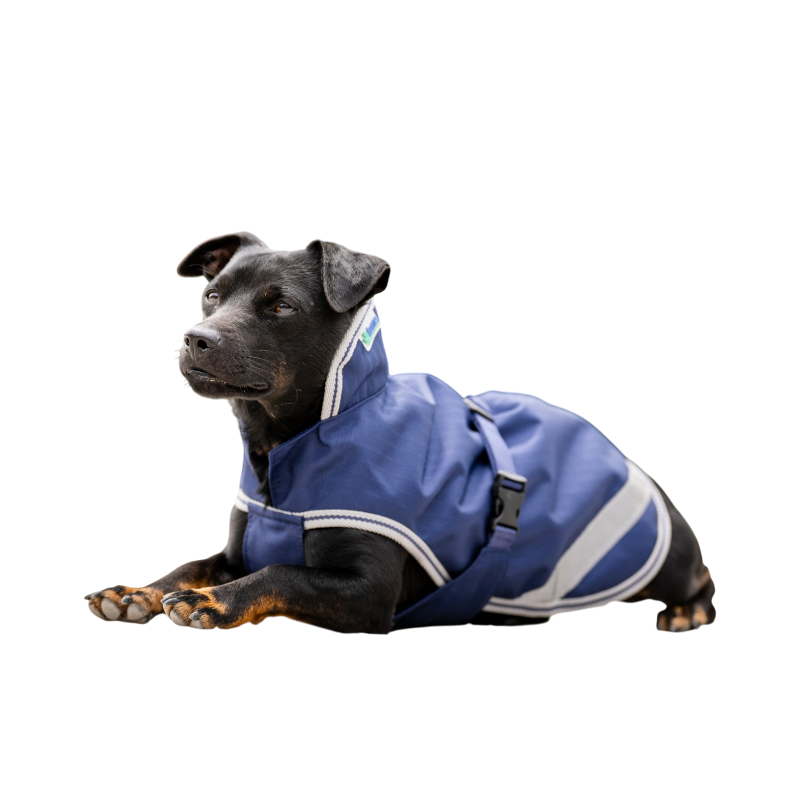 Bucas - Couverture pour chien Freedom marine/ silver