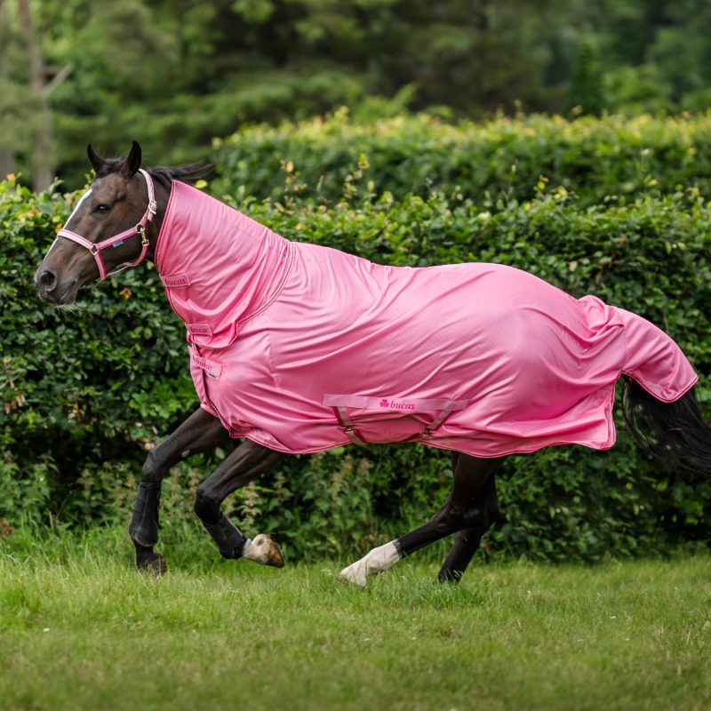 Bucas - Couverture anti-mouches Freedom Fly Full Neck aurora pink