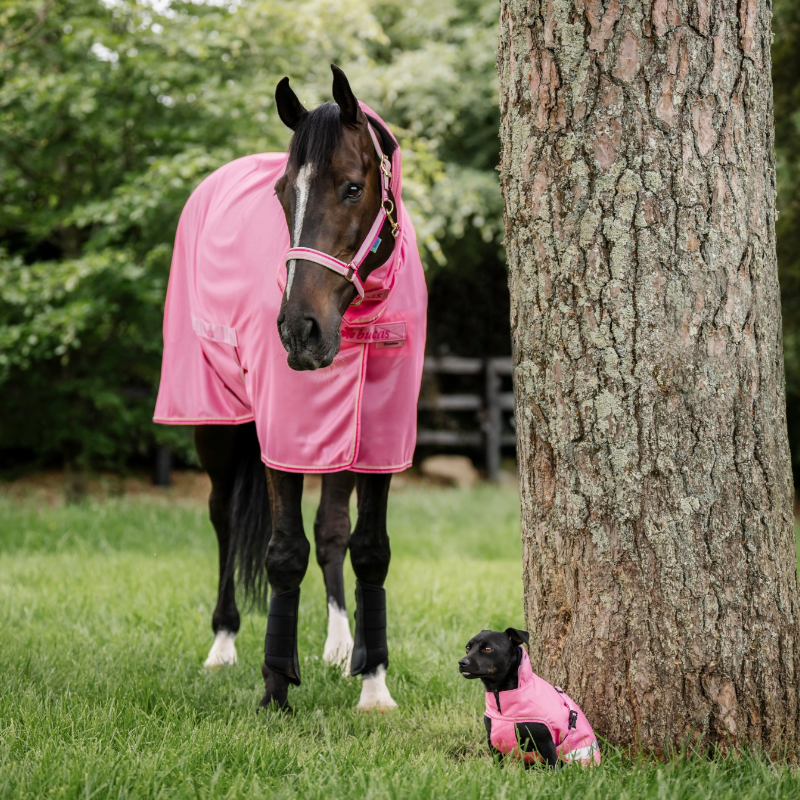 Bucas - Couverture anti-mouches Freedom Fly Full Neck aurora pink