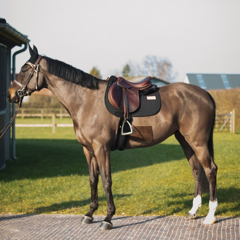 GEM - Tapis de selle Leo noir | - Ohlala