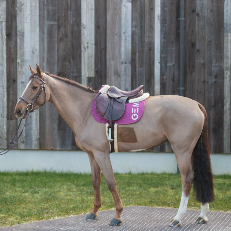GEM - Tapis de selle Ten framboise | - Ohlala