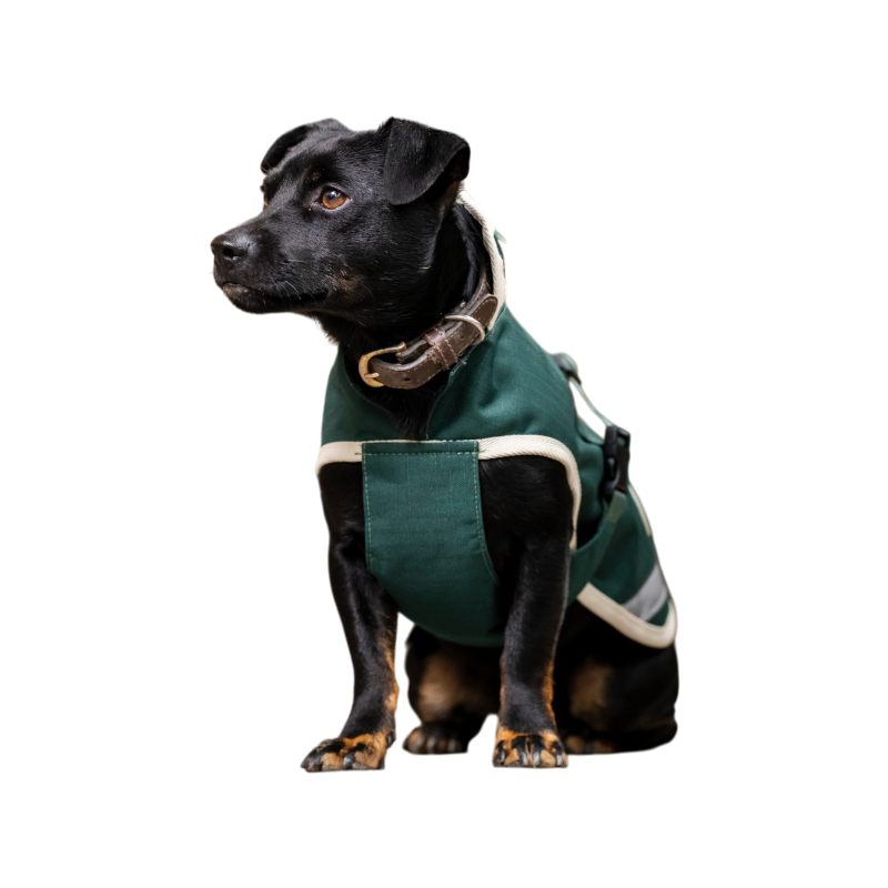 Bucas - Couverture pour chien Greenline vert/ crème