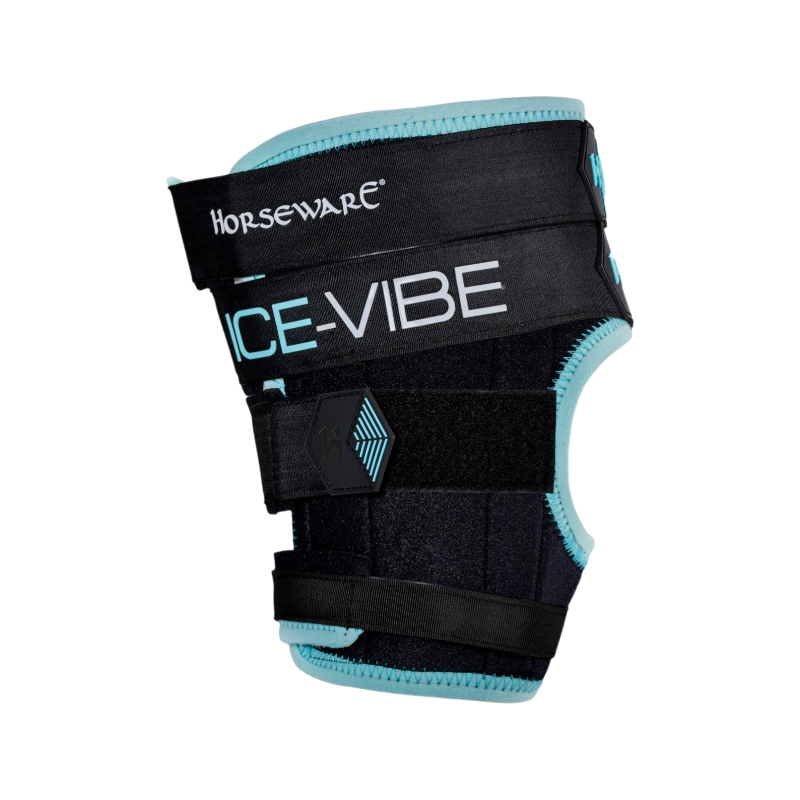 Horseware - Guêtres de jarret Ice Vibe noir/ aqua | - Ohlala