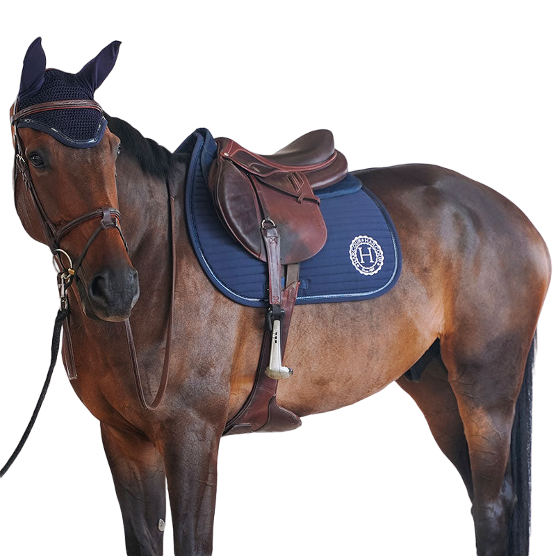 Couleur de robe sales equine 6 lettres