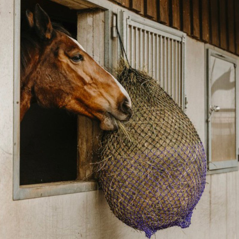 Hippotonic - Fliet à foin fin noir et violet | - Ohlala