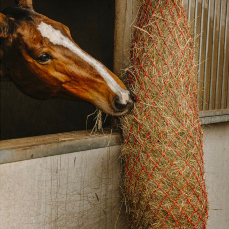 Hippotonic - Filet à foin long rouge | - Ohlala