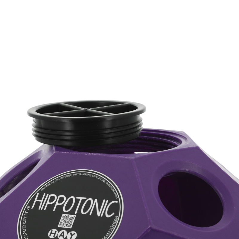 Hippotonic - Balle de jeu/ foin pour chevaux anti-gluton violet | - Ohlala