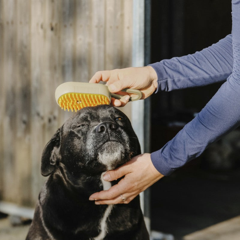 Hippotonic - Etrille à vapeur avec manche taupe | - Ohlala