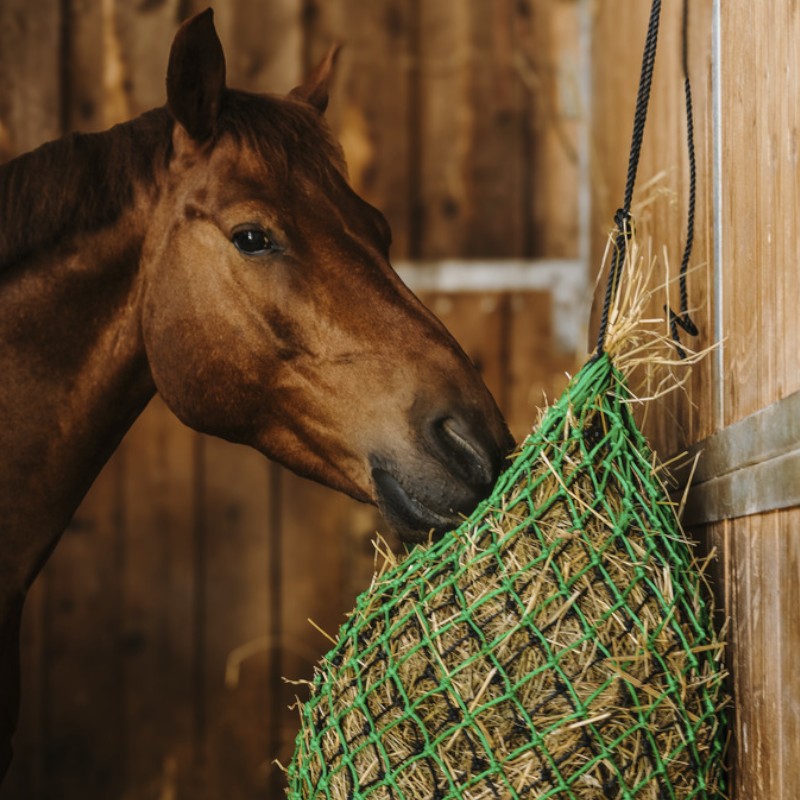 Hippotonic - Filet à foin double vert/ noir | - Ohlala