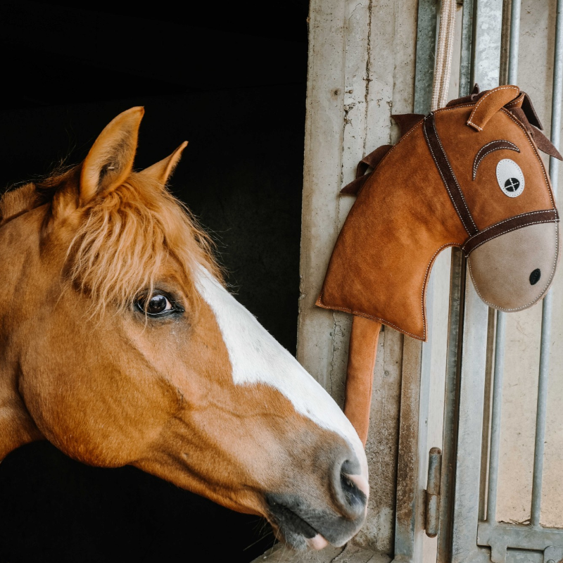 Hippotonic - Speelgoed voor paarden Hobby Horse bruin