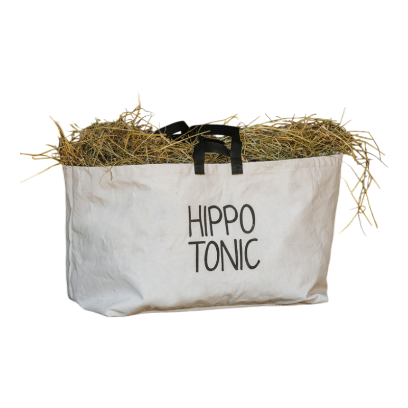 Hippotonic - Sac de transport Canvas beige