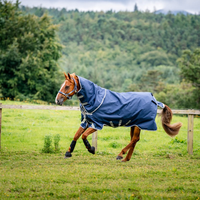 Horseware - Couverture d'extérieur Amigo Bravo 12 Plus marine/ titanium gris/ argent 250g | - Ohlala