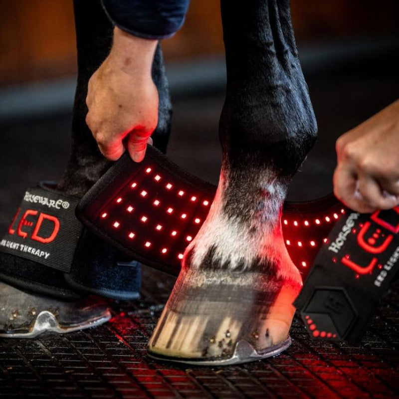 Horseware - Cloches thérapeutiques lumière rouge LED (x2) | - Ohlala