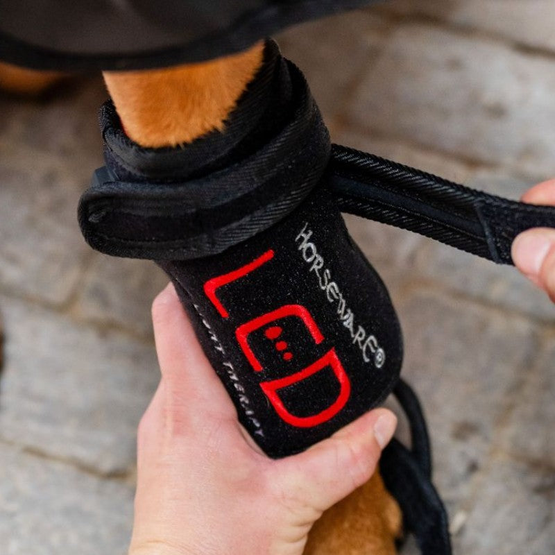 Horseware - Guêtres thérapeutiques pour chien Lumière rouge LED | - Ohlala