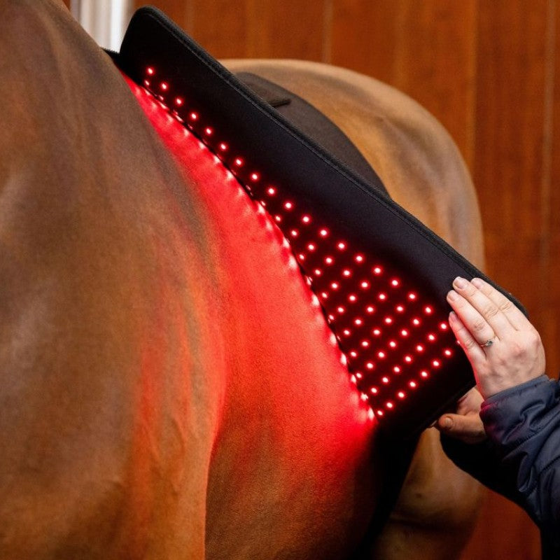 Horseware - Tapis thérapeutique lumière rouge LED | - Ohlala