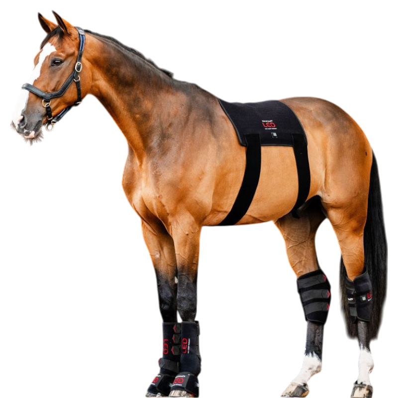 Horseware - Tapis thérapeutique lumière rouge LED | - Ohlala