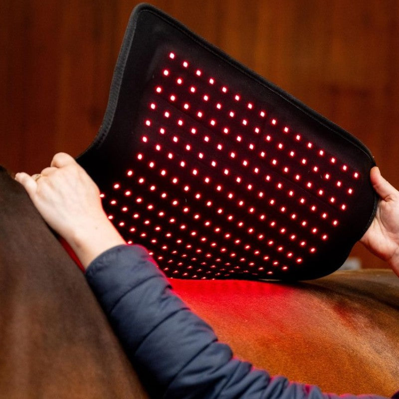 Horseware - Tapis thérapeutique lumière rouge LED | - Ohlala
