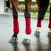 Horseware - Polowikkels Amigo Fleece mulberry (x4) | - Ohlala