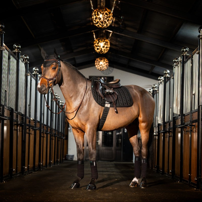 Horseware - Bonnet pour chevaux Amigo noir | - Ohlala