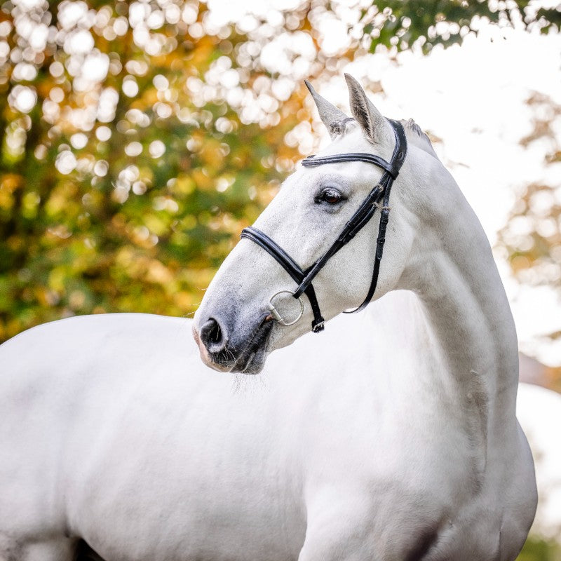 Horseware - Bridon Cavesson noir | - Ohlala