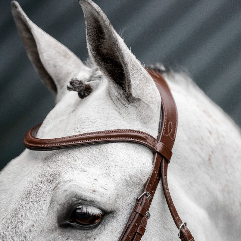 Horseware - Bridon Dressage Flash marron | - Ohlala