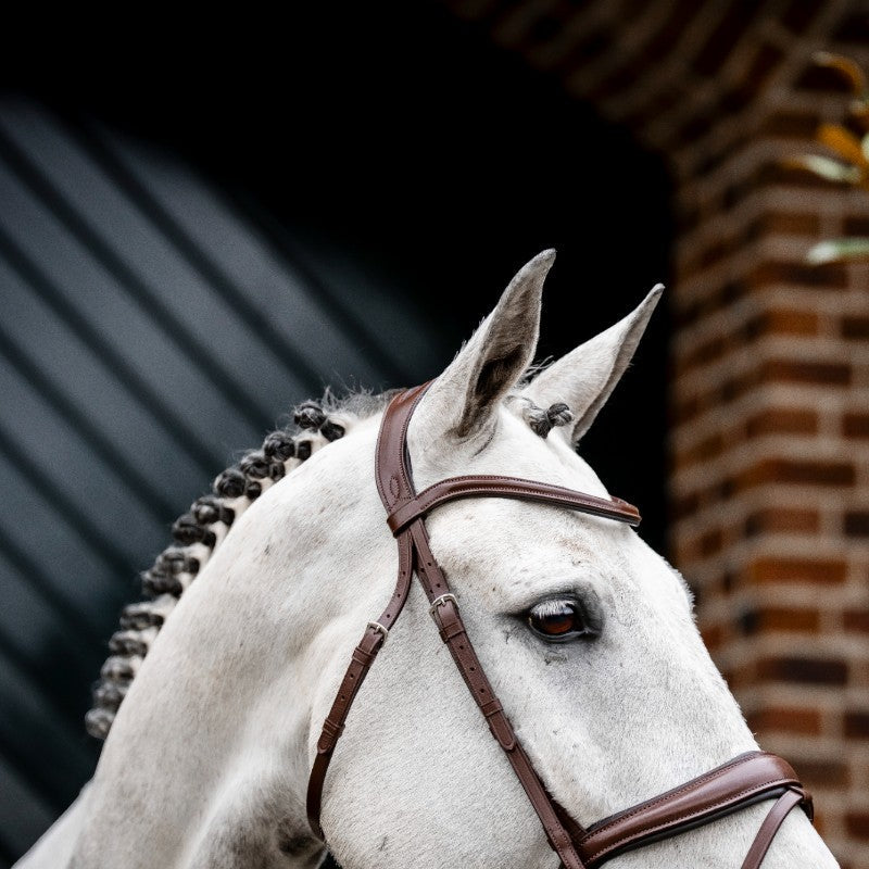 Horseware - Bridon Dressage Flash marron | - Ohlala