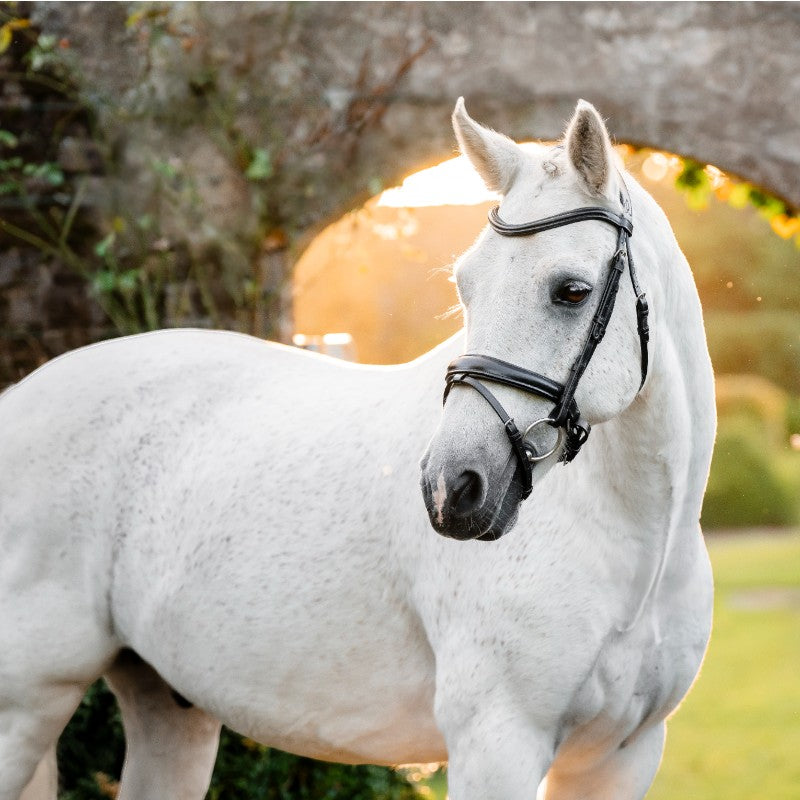 Horseware - Bridon Dressage Pony Flash noir | - Ohlala