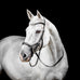 Horseware - Micklem Competition hoofdstel zwart | - Ohlala