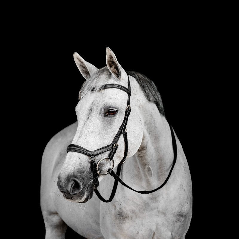 Horseware - Bridon Micklem Deluxe Competition noir | - Ohlala