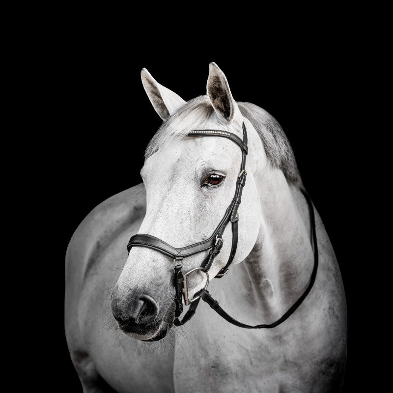 Horseware - Bridon Micklem Diamante Competition noir | - Ohlala