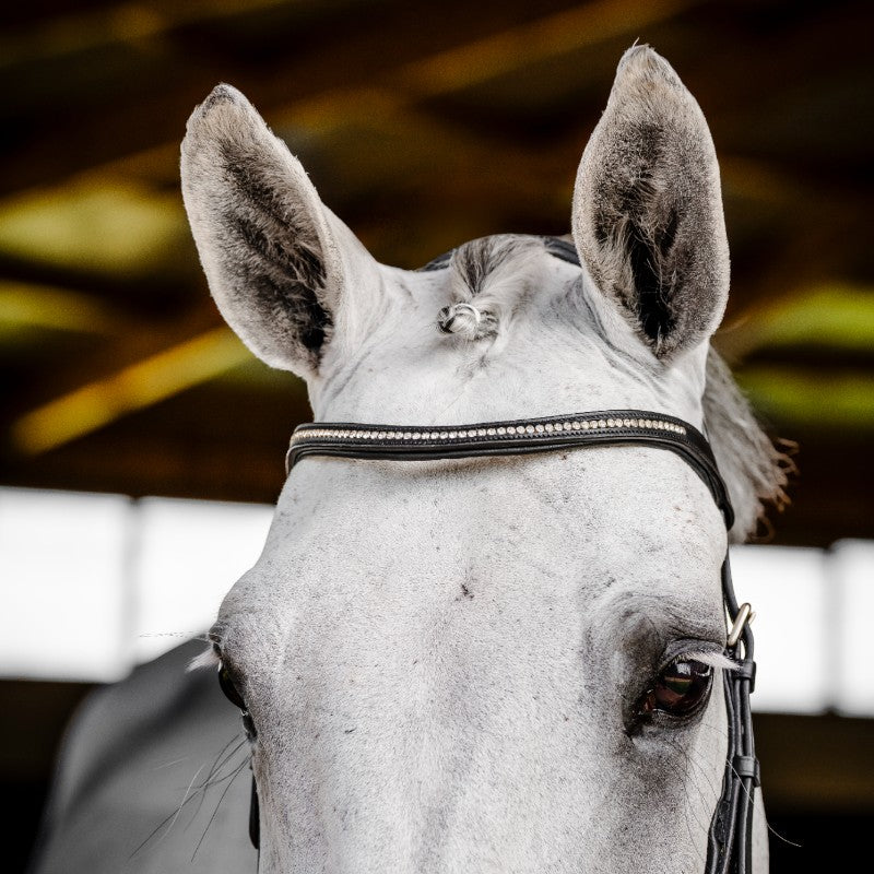 Horseware - Bridon Micklem Diamante Competition noir | - Ohlala