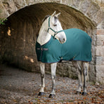 Horseware - Chemise séchante Amigo Jersey dynasty green/ marine/ argent | - Ohlala