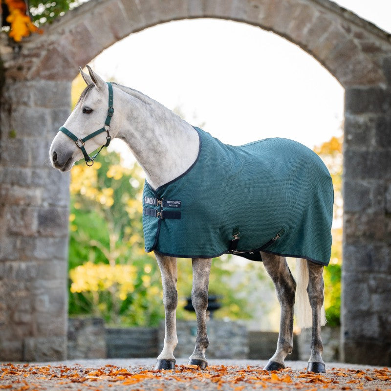 Horseware - Chemise séchante Rambo Techni Waffle dynasty green/ marine/ argent | - Ohlala