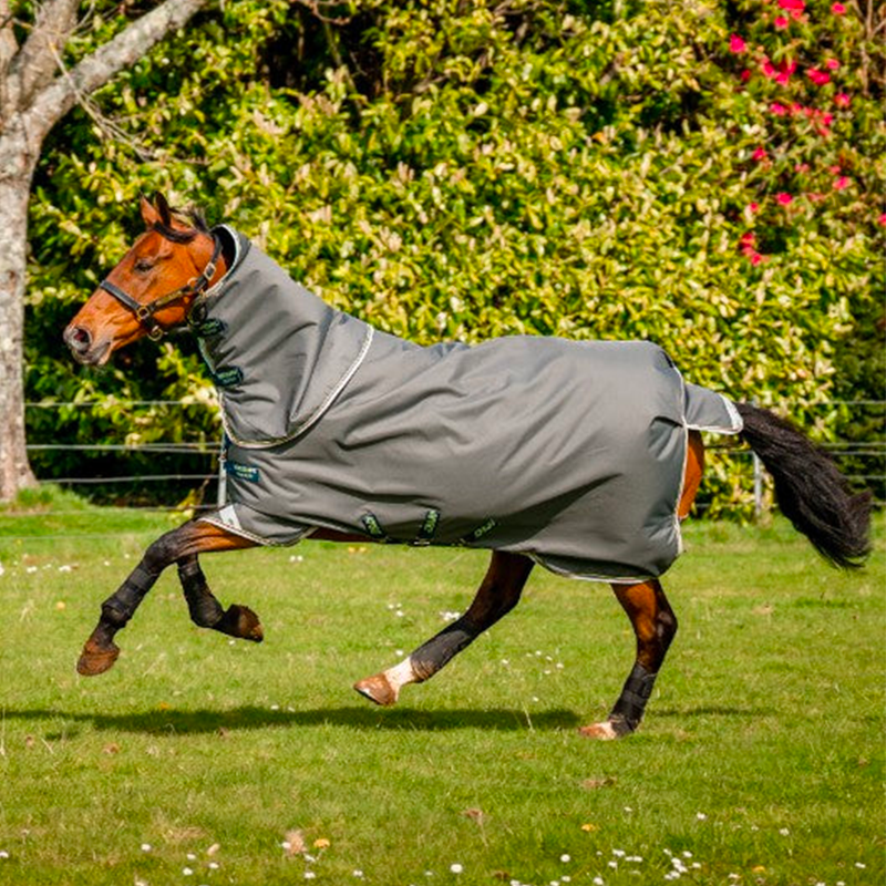 Horseware - Couverture d'extérieur Amigo Bravo 12 Plus shadow/ marine/ lime 250g | - Ohlala