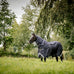 Horseware - Buitendeken Rambo Optimo Plus Turnout Bundle marine/ thunderstorm grey/ zilver (0g + 400g) | - Ohlala