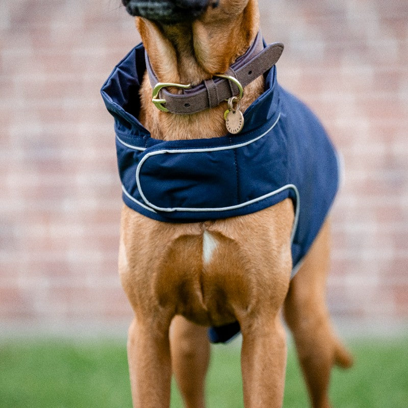 Horseware - Couverture imperméable pour chien Signature marine | - Ohlala
