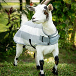 Horseware - Couverture polaire pour chèvre Newmarket witney charcoal | - Ohlala