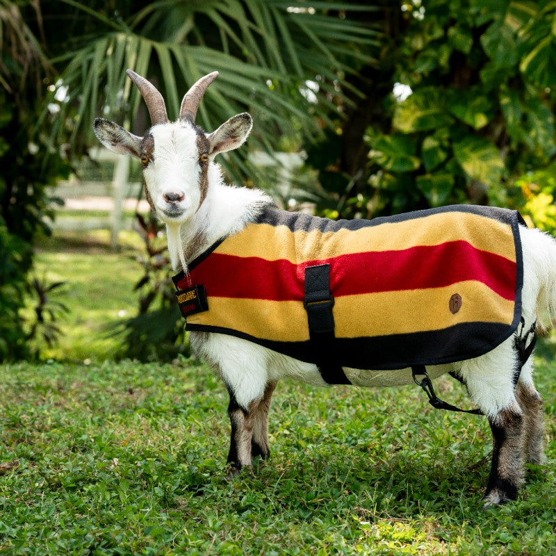 Horseware - Couverture polaire pour chèvre Newmarket witney gold | - Ohlala